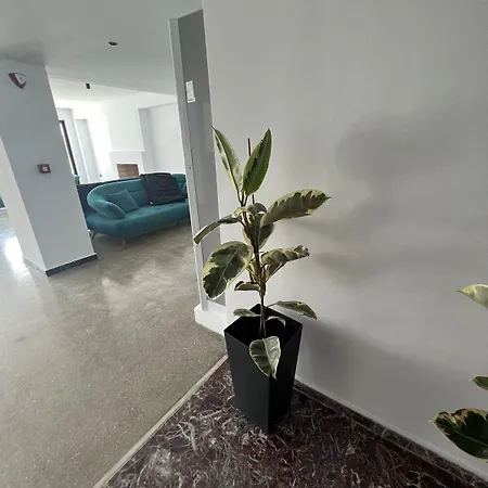 Evita Blue غزيلوكاسترون