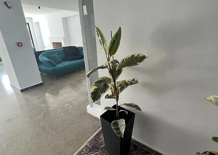 Evita Blue Ξυλόκαστρο